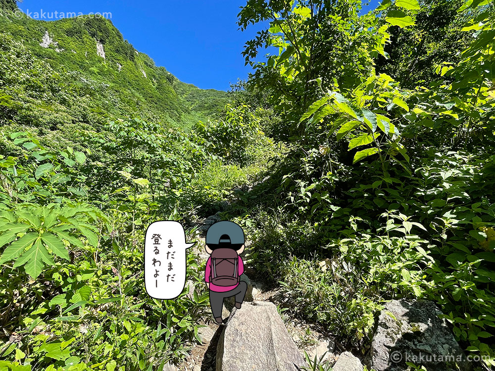 雨飾高原キャンプ場から雨飾山への登山道、荒菅沢から登山道に入った写真と登山者のイラスト
