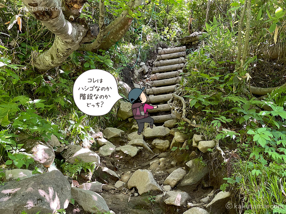 雨飾高原キャンプ場から雨飾山への登山道の写真と登山者のイラスト