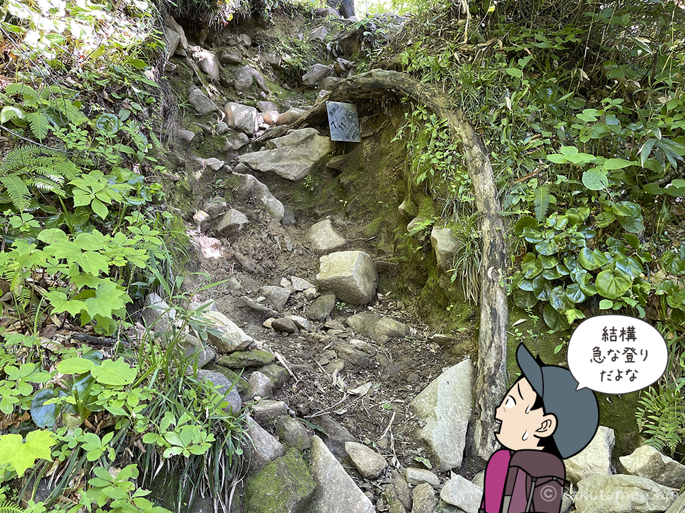 雨飾高原キャンプ場から雨飾山への登山道「7/11」の看板の写真と登山者のイラスト