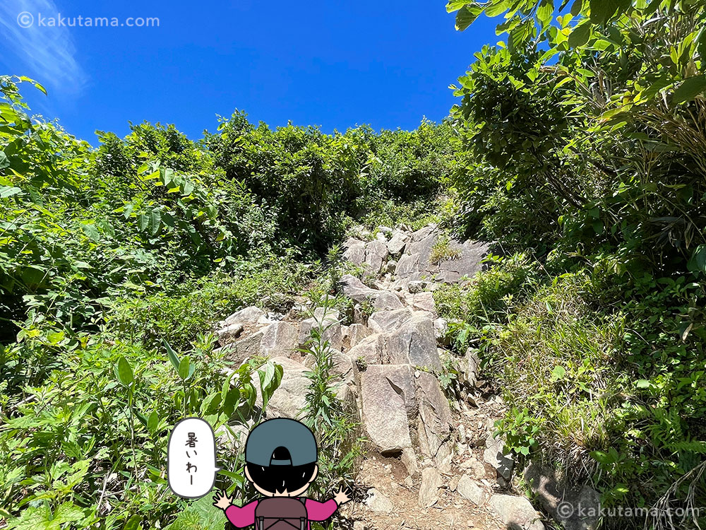 雨飾高原キャンプ場から雨飾山への登山道の写真と登山者のイラスト