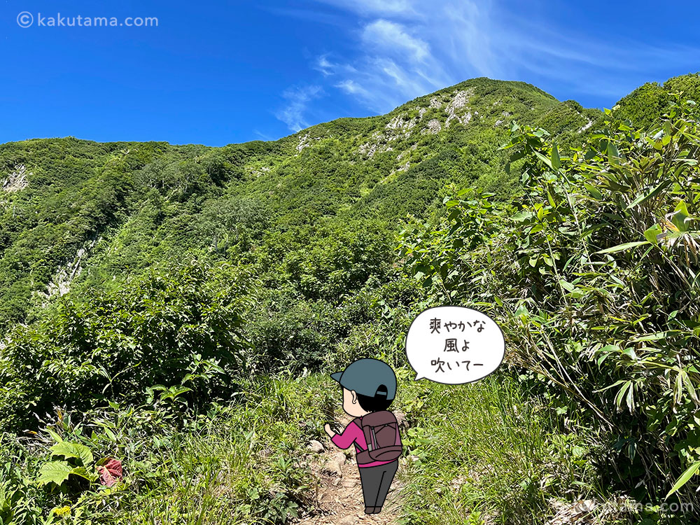 雨飾高原キャンプ場から雨飾山への登山道森林限界に出た写真と登山者のイラスト