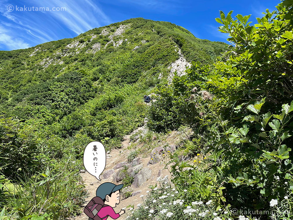 雨飾高原キャンプ場から雨飾山への登山道の高山植物の写真と登山者のイラスト
