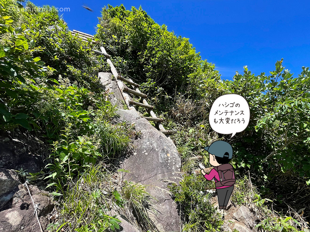 雨飾高原キャンプ場から雨飾山への登山道木のハシゴ写真と登山者のイラスト