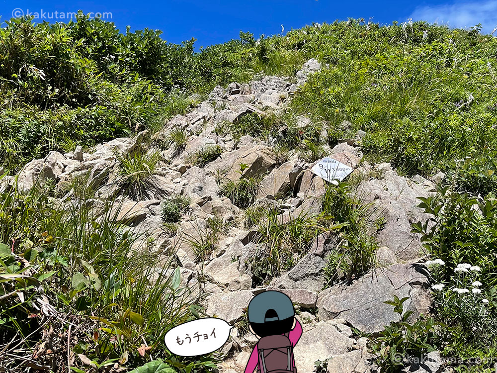 雨飾高原キャンプ場から雨飾山への登山道「9/11」の看板の写真と登山者のイラスト