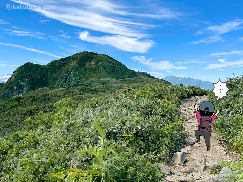 稜線から雨飾山を見た写真と登山者のイラスト