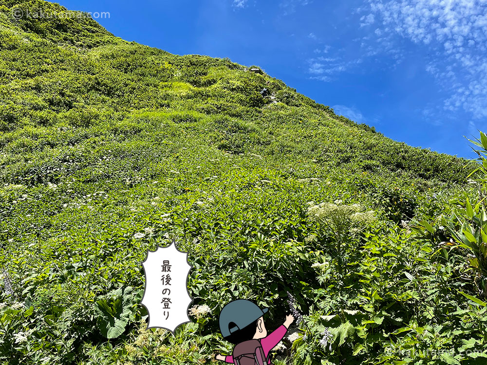 雨飾山山頂直下の登りの写真と登山者のイラスト