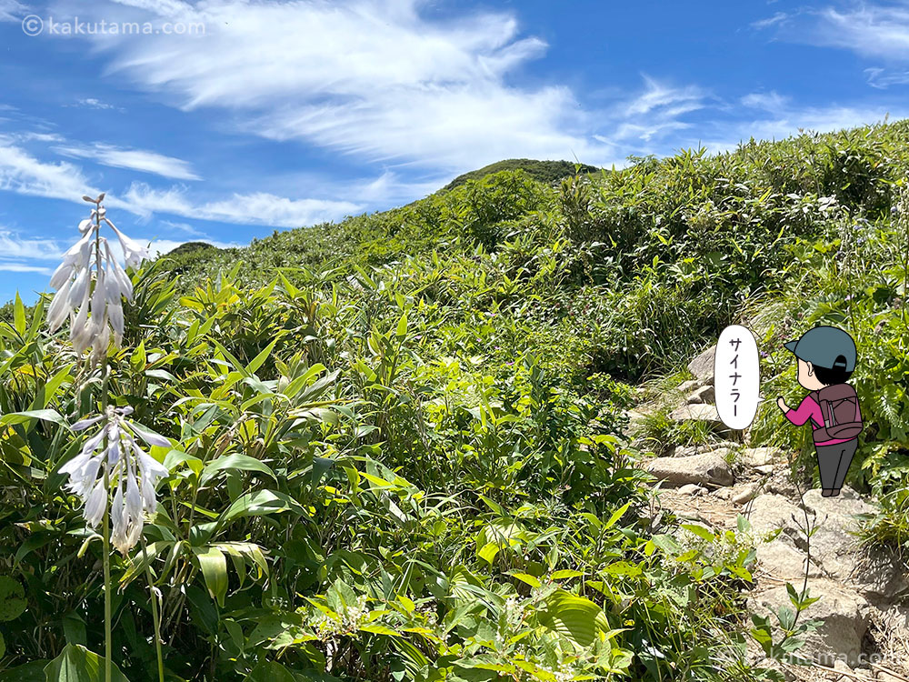 振り返って見る雨飾山の写真と登山者のイラスト