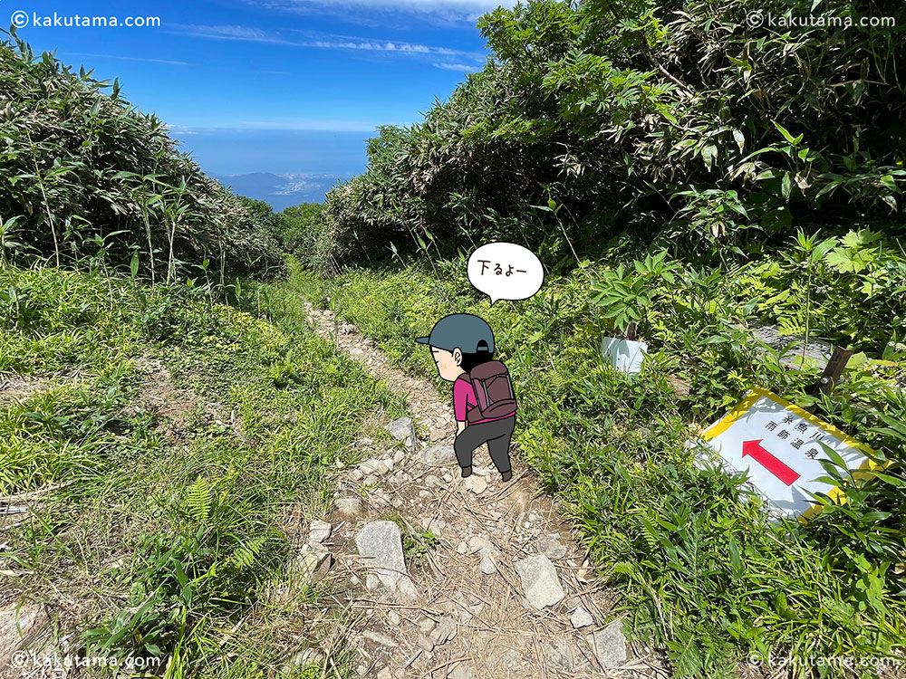 薬師尾根分岐から雨飾山荘へ向けて歩き始める登山道の写真と登山者のイラスト