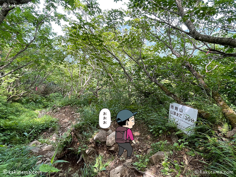 薬師尾根分岐から雨飾山荘へ向けて歩き始める登山道の写真と登山者のイラスト