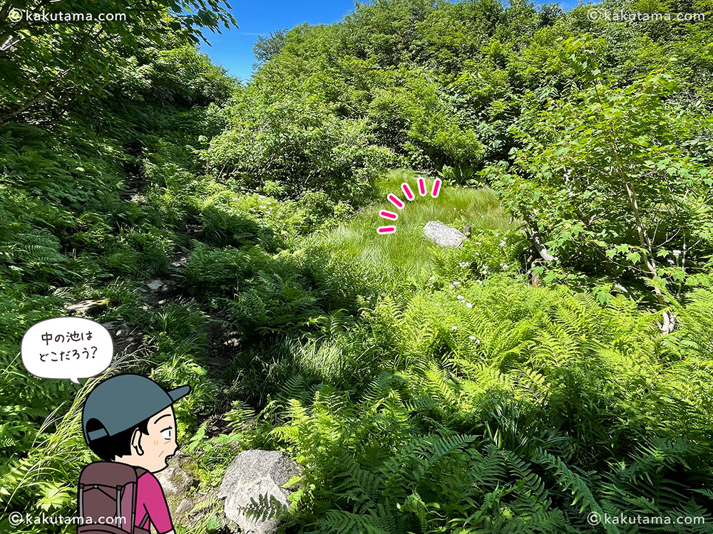 薬師尾根分岐から雨飾山荘へ向けて歩き、中の池を見る写真と登山者のイラスト