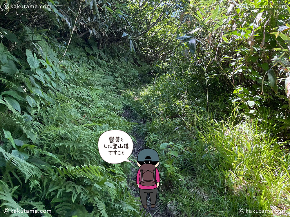 薬師尾根分岐から雨飾山荘への登山道の写真と登山者のイラスト