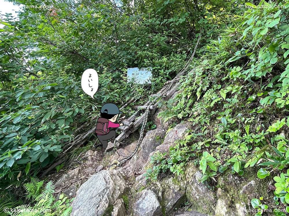 薬師尾根分岐から雨飾山荘への木のハシゴの写真と登山者のイラスト