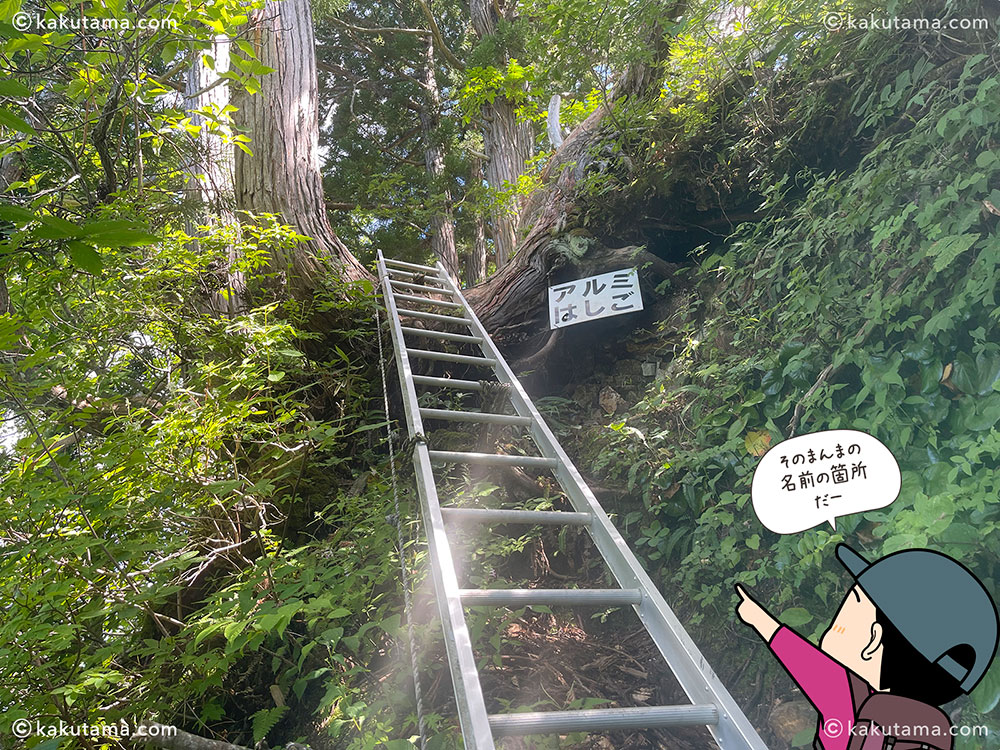 薬師尾根分岐から雨飾山荘への登山道のアルミハシゴの写真と登山者のイラスト