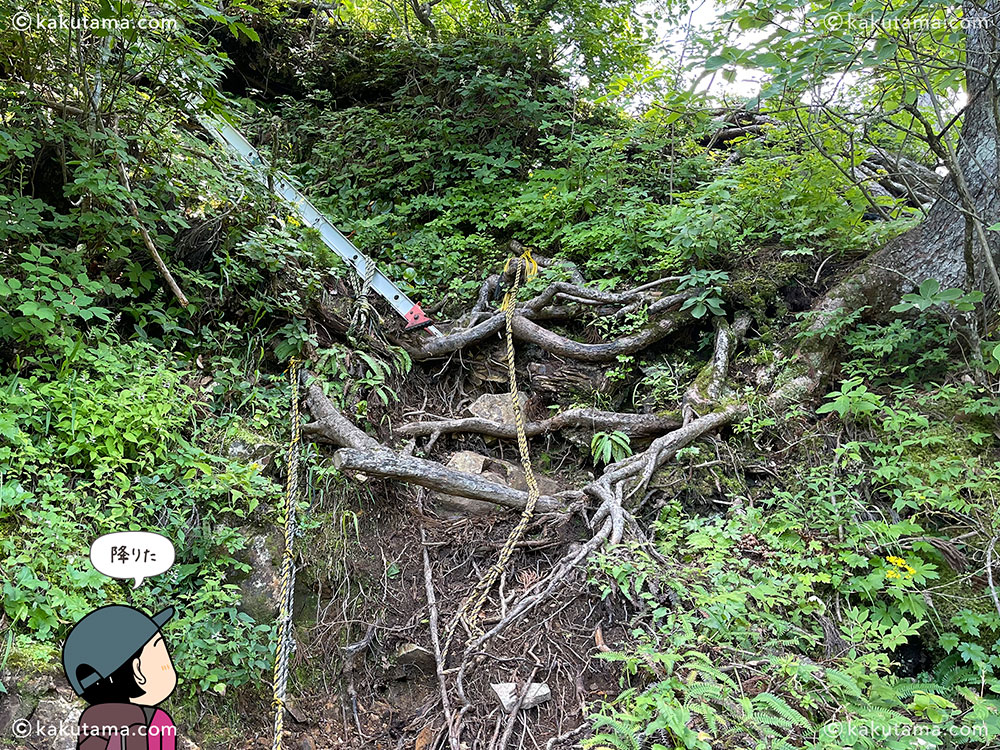 薬師尾根分岐から雨飾山荘への登山道のアルミハシゴを下った場所の写真と登山者のイラスト