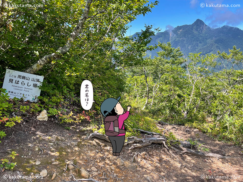 雨飾山から薬師尾根を歩いて、雨飾山荘へ下山する登山道の見晴らし場の写真と登山者のイラスト