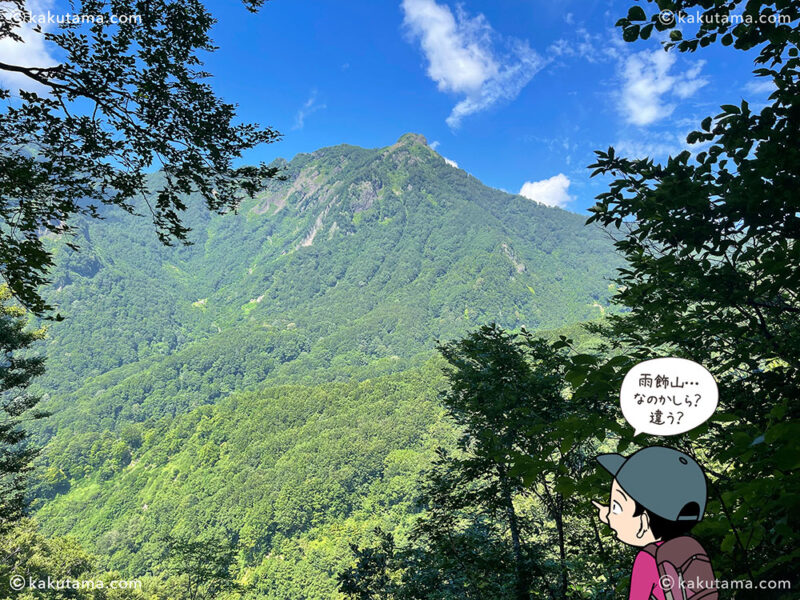 雨飾山から薬師尾根を歩いて、雨飾山荘へ下山する登山道から見た山の写真と登山者のイラスト