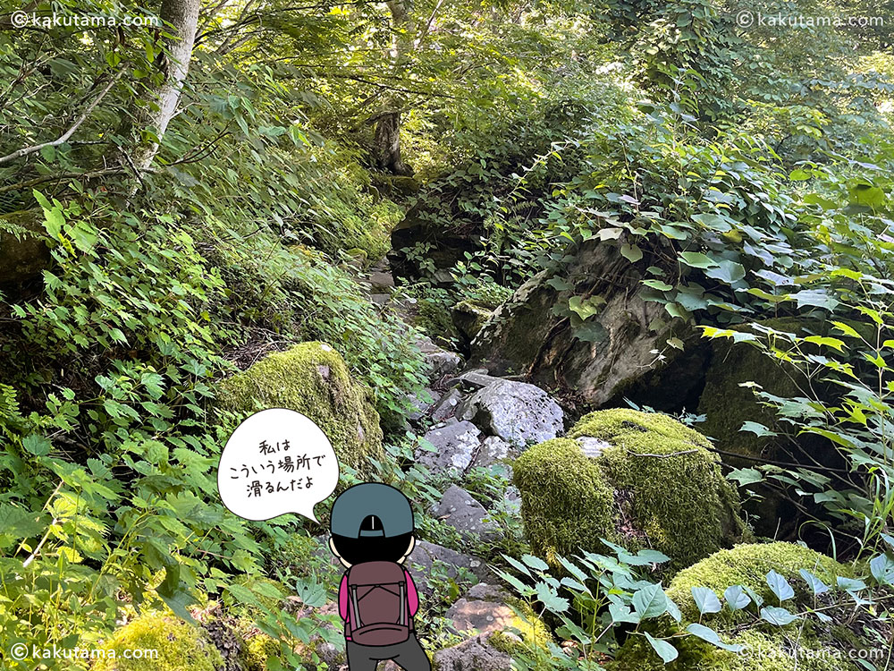 雨飾山から薬師尾根を歩いて、雨飾山荘へ下山する登山道の写真と登山者のイラスト