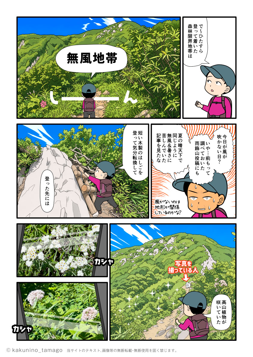 雨飾高原キャンプ場から雨飾山山頂お目指して歩くが、炎天下と無風状態で暑さにまいる登山者のマンガとイラスト