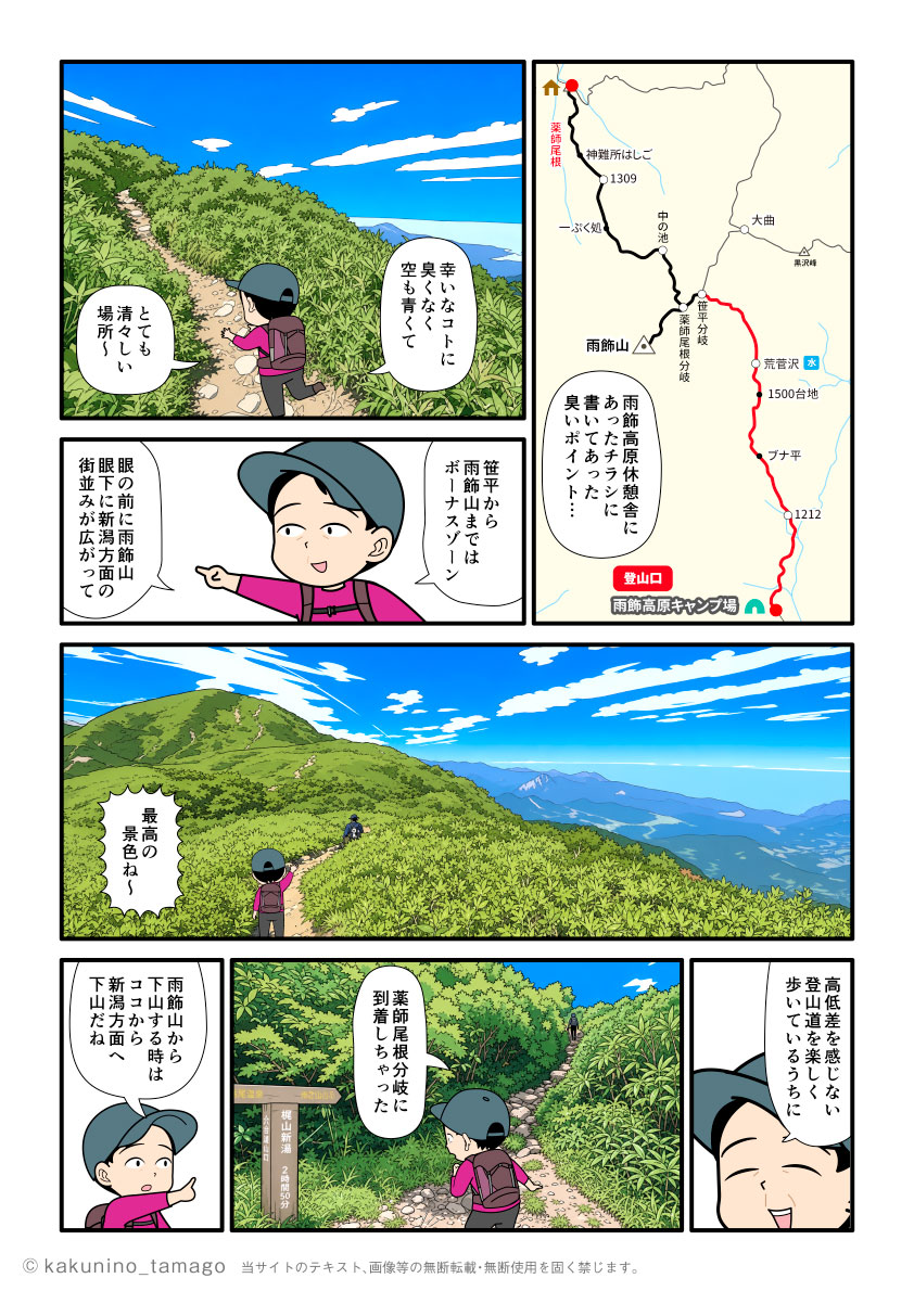 雨飾高原キャンプ場から雨飾山へ向かって登り、薬師尾根分岐点に到着した登山者の漫画とイラスト