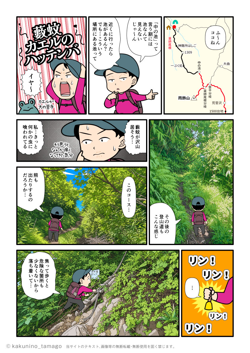 雨飾山から下山するために、薬師尾根分岐から雨飾山荘方面へ向かう途中で中の池を見た登山者のマンガとイラスト