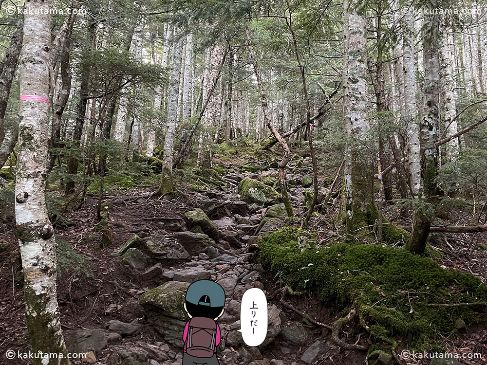 甲斐駒ヶ岳へ向かう登山道の写真と登山者のイラスト