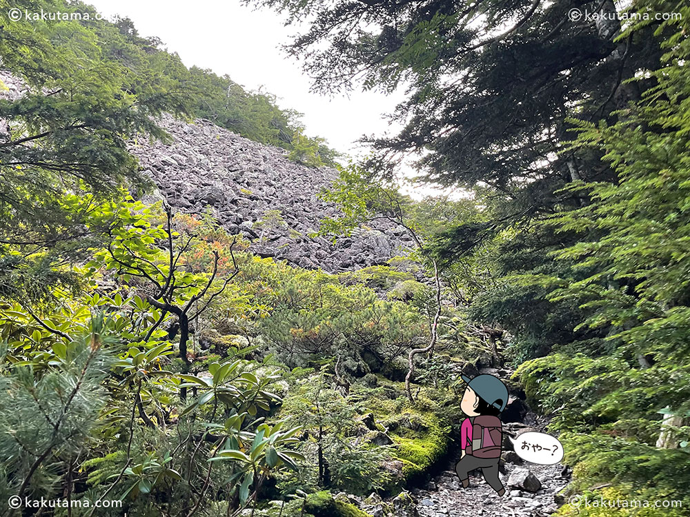 甲斐駒ヶ岳へ向かう登山道のゴーロ写真と登山者のイラスト