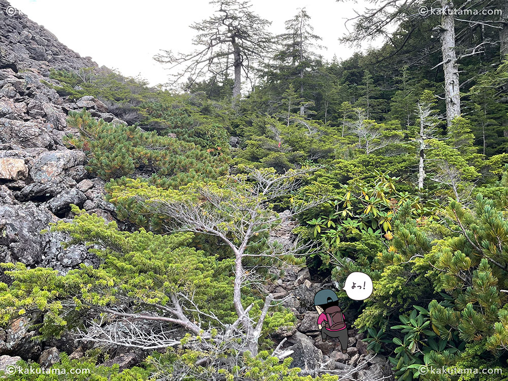 甲斐駒ヶ岳へ向かう登山道のゴーロ写真と登山者のイラスト