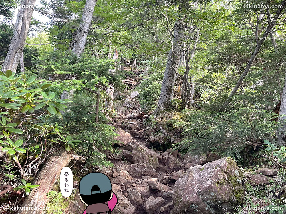 仙水峠から駒津峰への登山道の写真と登山者のイラスト