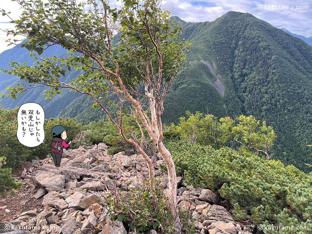 仙水峠から駒津峰への登山道の写真と登山者のイラスト