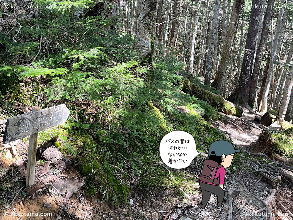 双児山〜北沢峠間の登山道の写真と登山者のイラスト
