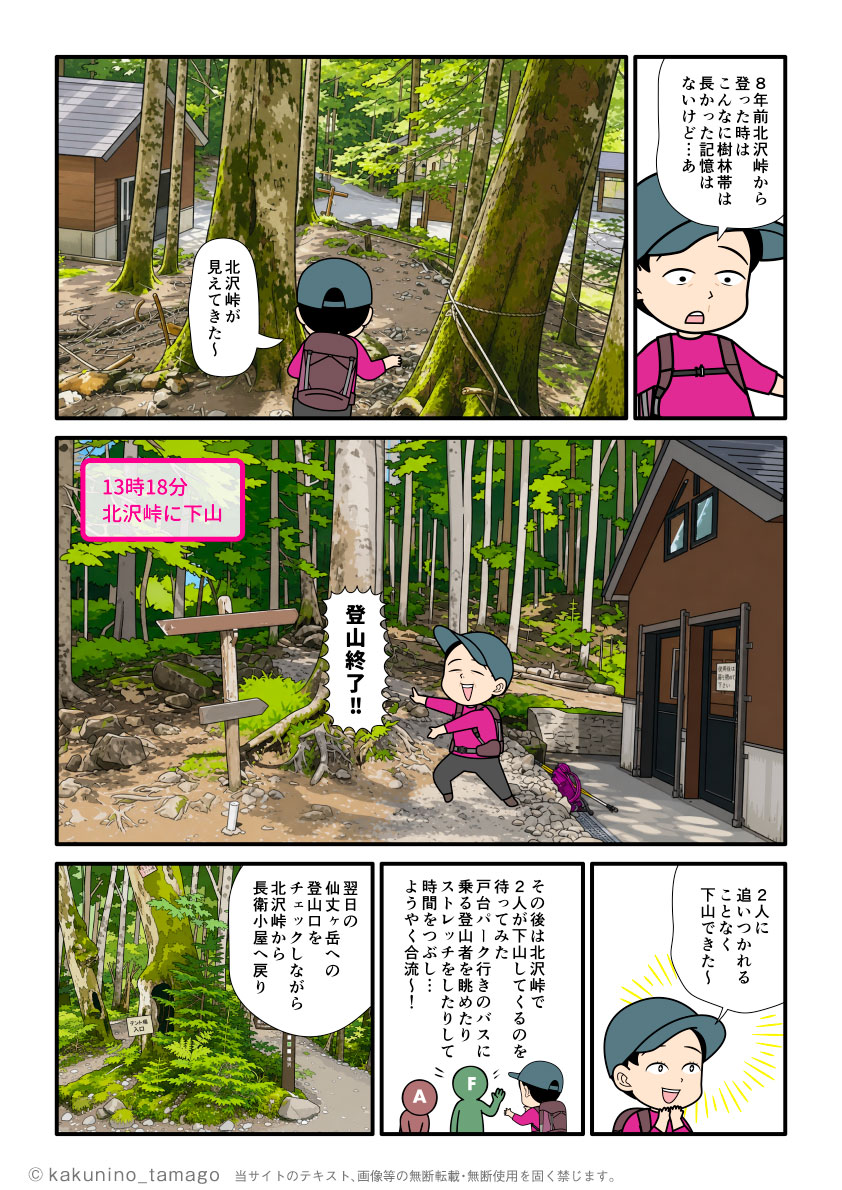 双児山から北沢峠へ向かって樹林帯を下り、北沢峠に到着した登山者の漫画とイラスト